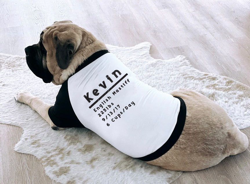 Kevin the English Mastiff Wearing 6XL Personalized Custom Dog T-Shirt 