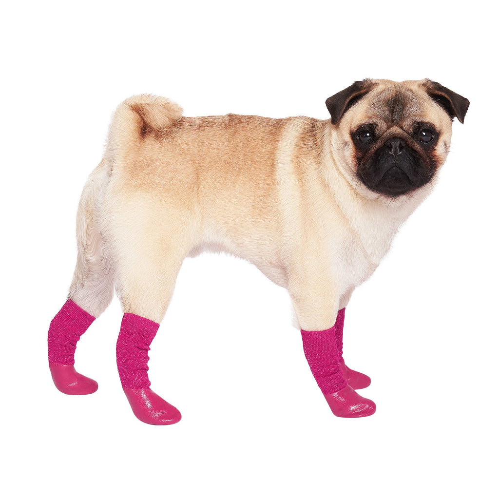 Petco Canada Pooch Hot Pink Socks for Dogs - Worn by a cute Pug