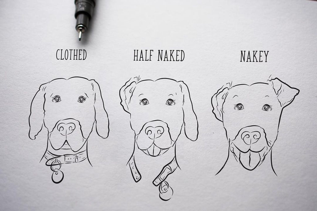 Funny Nakey Dog Illustration