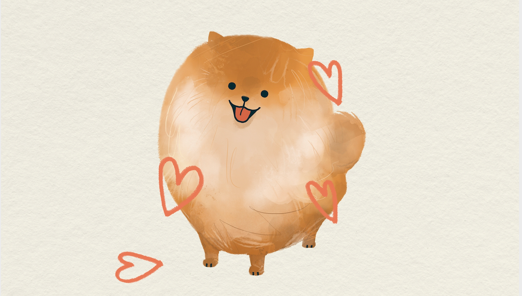 Pomeranian in Love