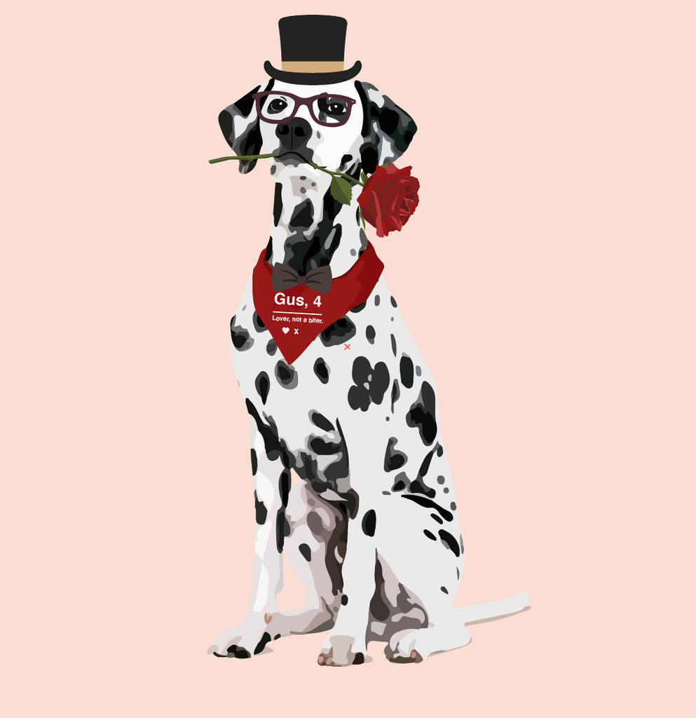 Dalmatian Wearing a Top Hat and Custom Dating Profile Dog Bandana and Bow Tie, Holding a Rose 