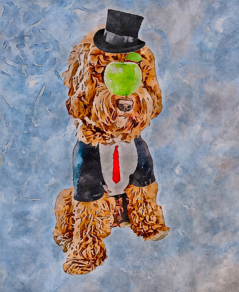 Goldendoodle Recreates "The Son of the Man" by Rene Magritte