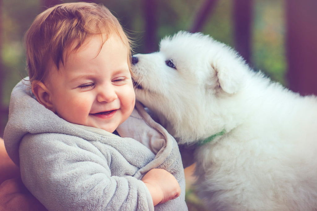 Dog Meets Baby For The First Time