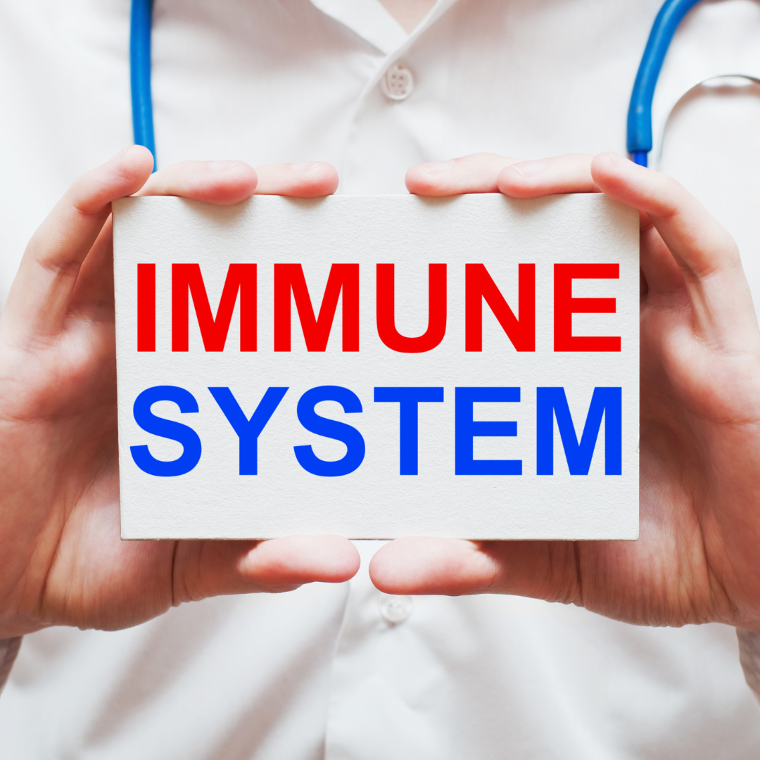 ginseng benefits immune system health
