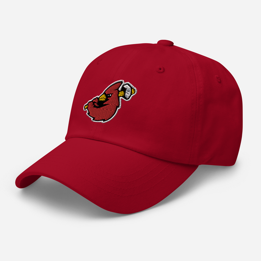 louisville cardinals hats
