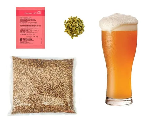 Kit Receta Kölsch – Brewing Depot