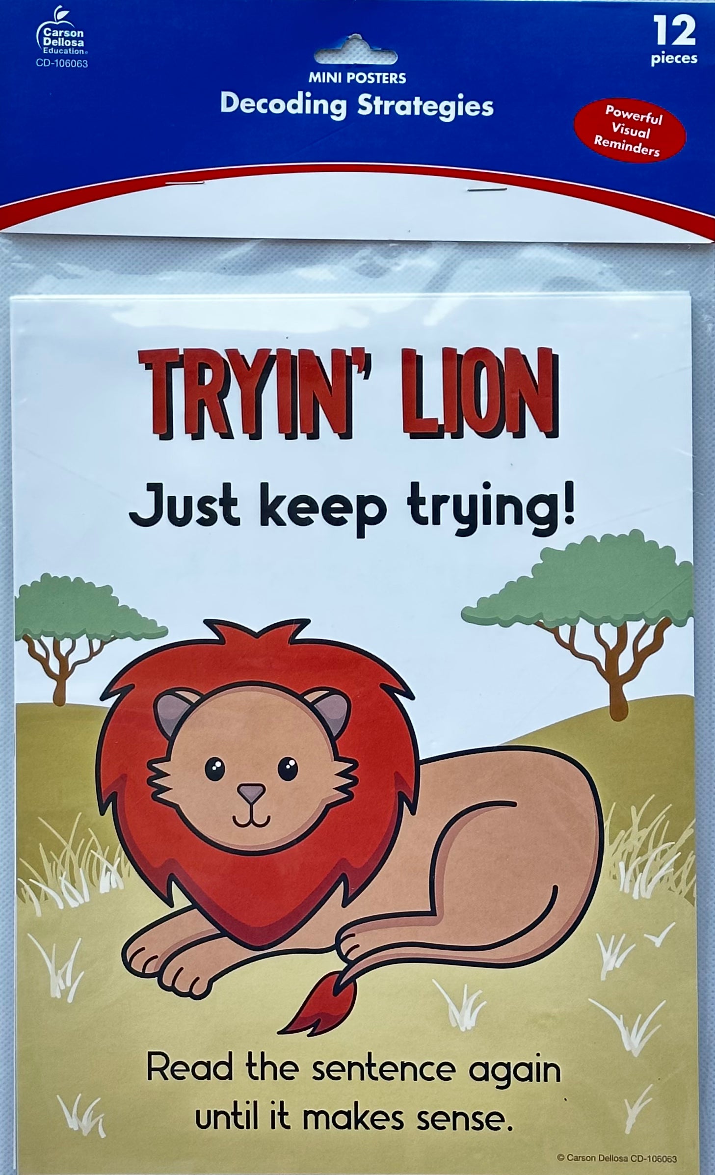 MINI POSTERS DECODING STRATEGIES POSTERS - MINI POSTER SET