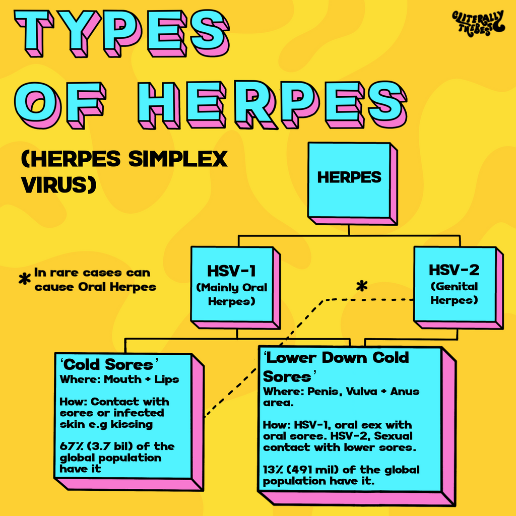 types of herpes diagram