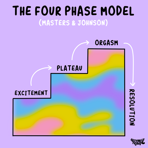 the four phase model diagram masters and johnson