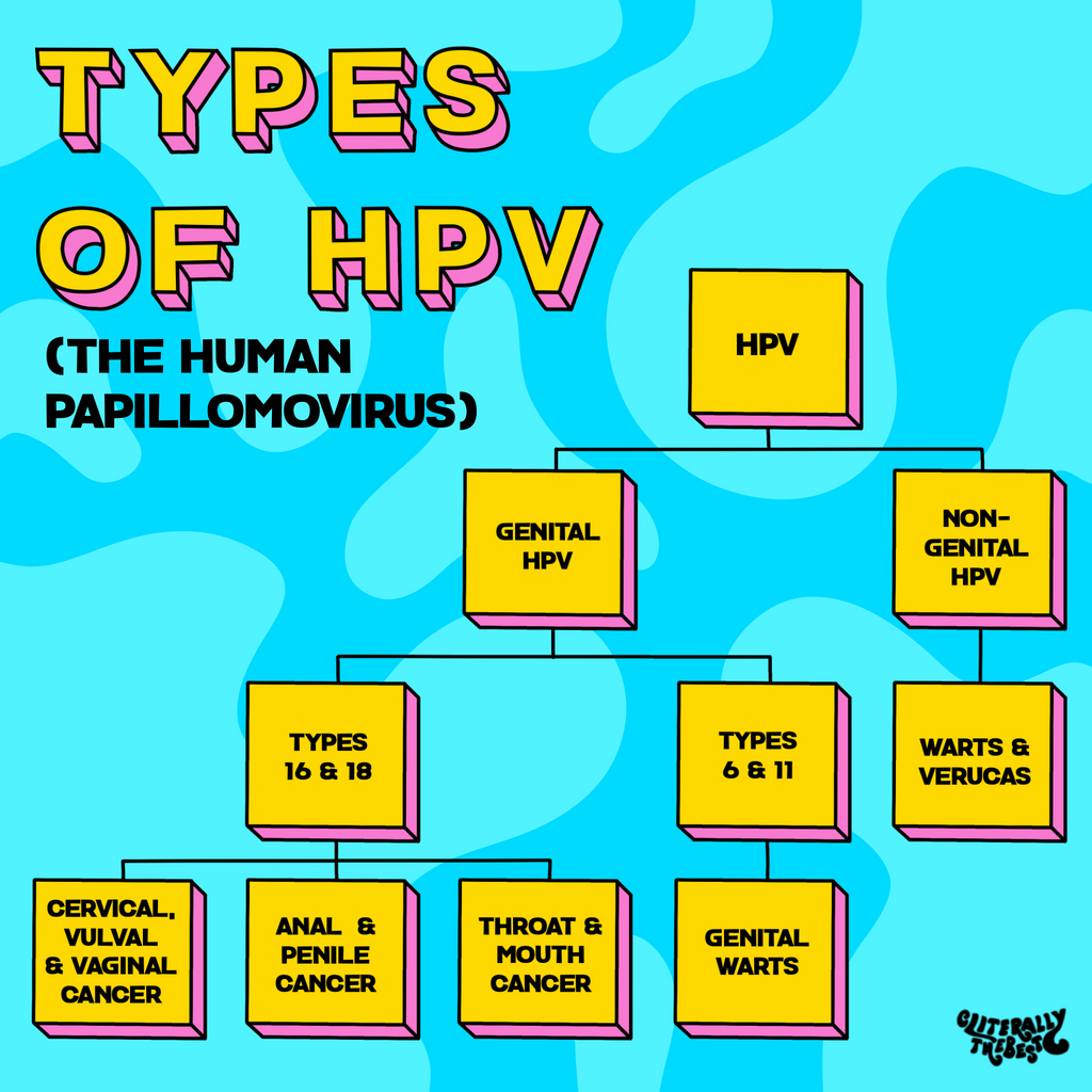 hpv type diagram flow chart explained