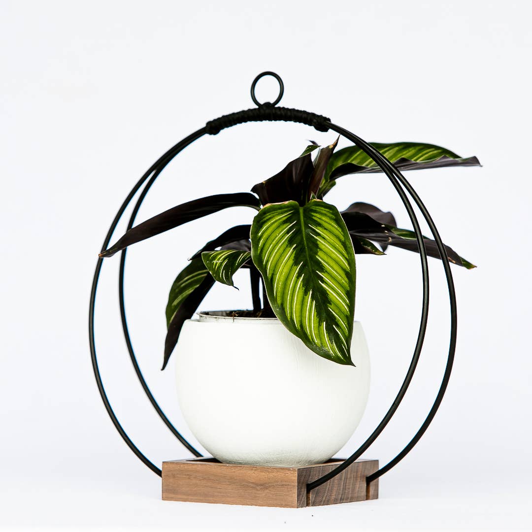 Modern Hanging Duo - Modern Plant Hangers Braid & Wood Design Studio