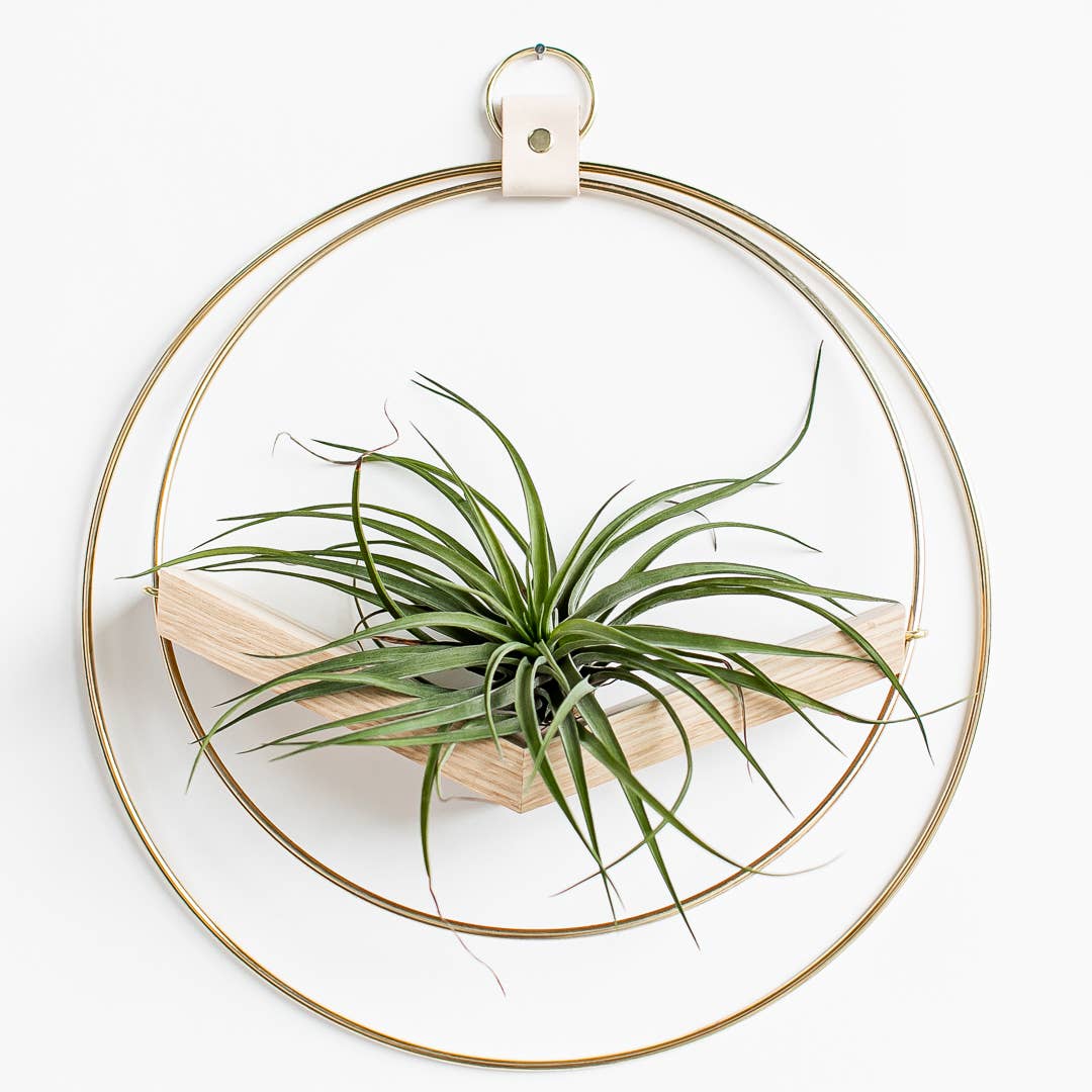 Modern Hanging Duo - Modern Plant Hangers Braid & Wood Design Studio