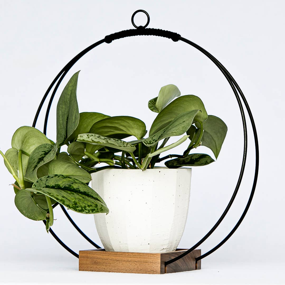 Modern Hanging Duo - Modern Plant Hangers Braid & Wood Design Studio