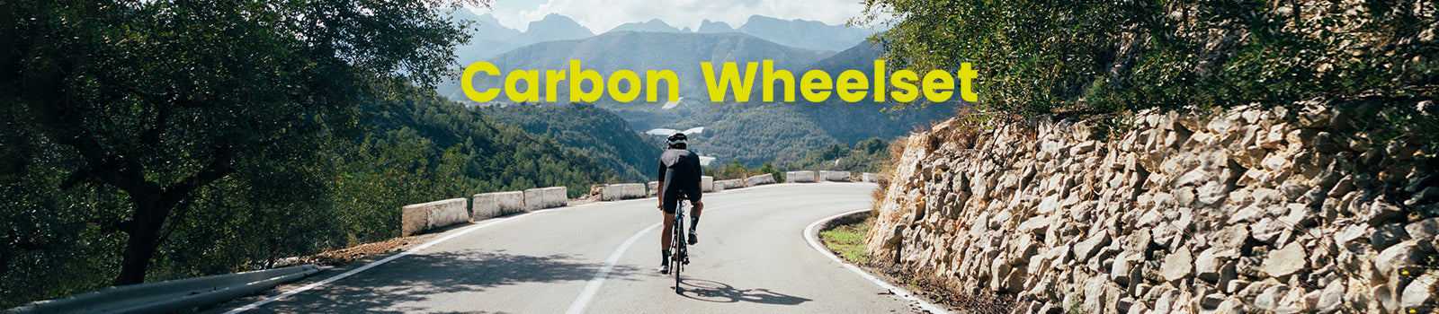 carbon wheelset