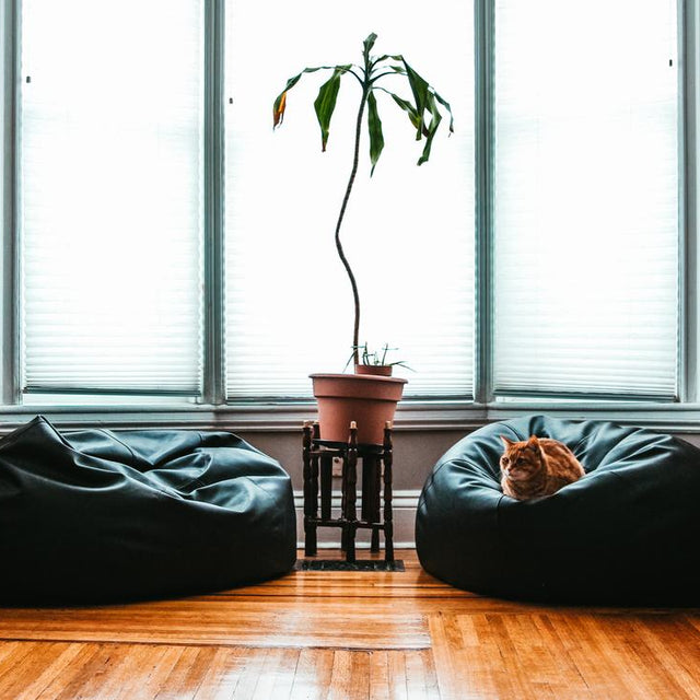 Product Image of Black Beanbag #1