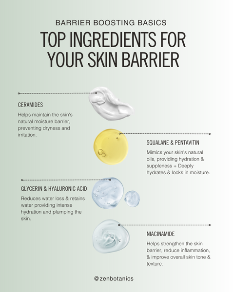 top ingredients for a healthy skin barrier