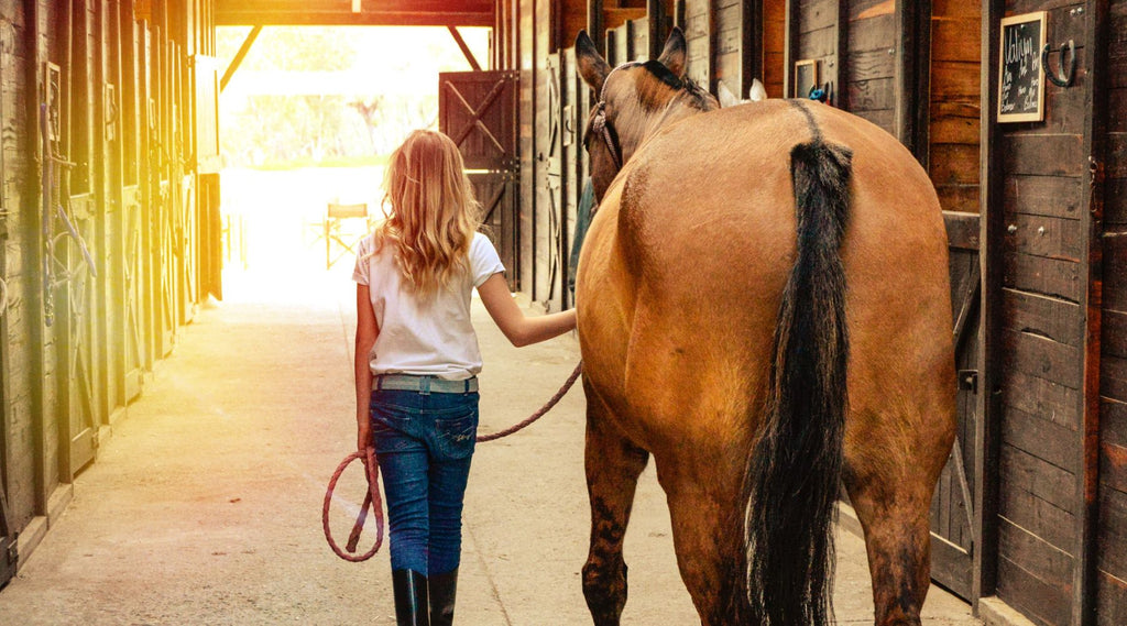 Young girl leading a horse by a rope in a stable corridor