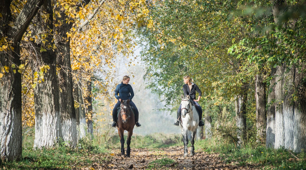 Two riders on horses walking along a forest trail with autumn leaves