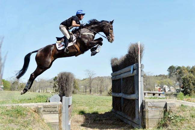 John Twomey Rose-Hip Vital Equine