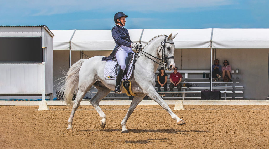 Louise Curran and her horse Gandalf thriving in competition thanks to Rose-Hip Vital Equine