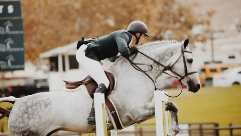 Rider and horse overcoming oxidative stress in competition with Rose-Hip Vital Equine's natural vitamin C.
