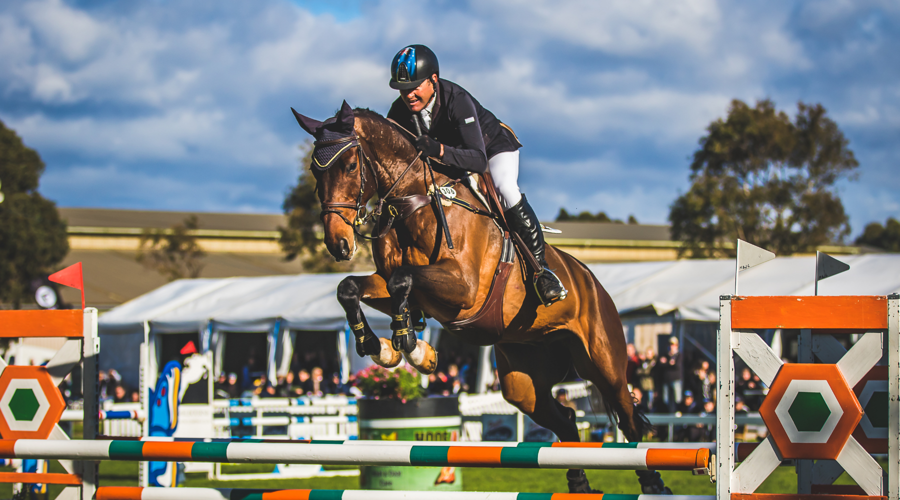 Tim Boland and his horse performing a jump, supplemented by Rose-Hip Vital Equine for optimal fitness.