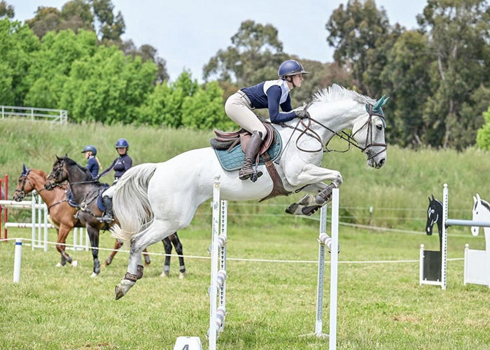 Ari, Flo & Paris Rose-Hip Vital Equine