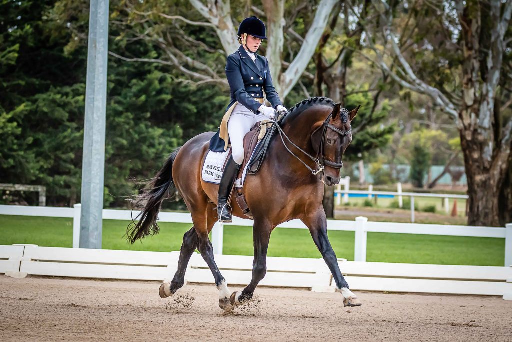 Tori Stuckey joins the Rose-Hip Vital Equine team