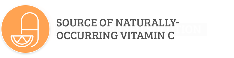 Rose-Hip Vital Naturally Sourced Vitamin C