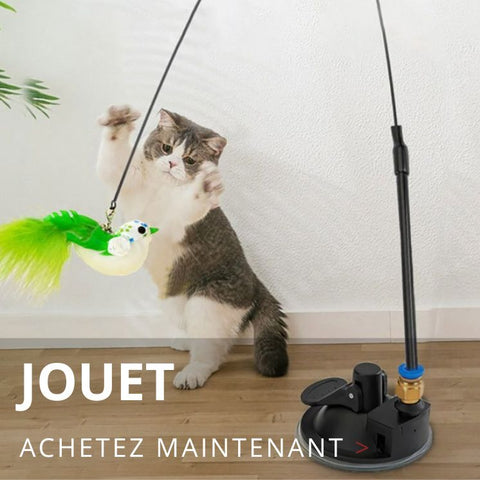 Collection jouets pour chat à découvrir maintenant sur SensSwing.com