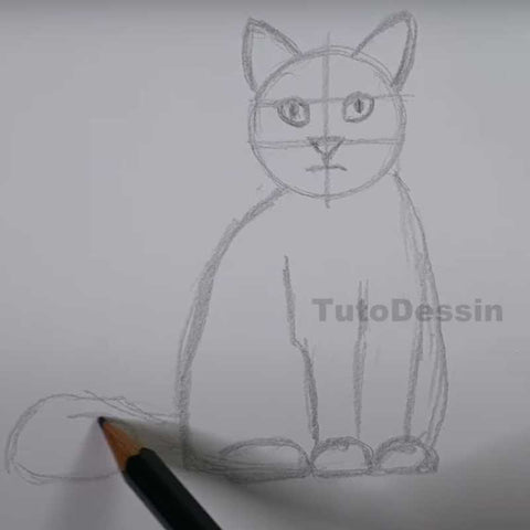 Comment dessiner un chat - Etape 1 : Esquissez les Formes de Base