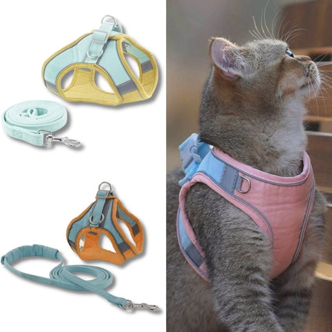 look et design élégant pour ce harnais à chat