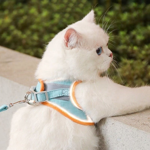 safety guaranteed for this cat harness