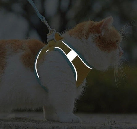 reflective strips along the entire length of the cat harness