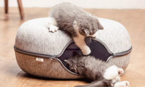 chats jouant dans leur lit donut