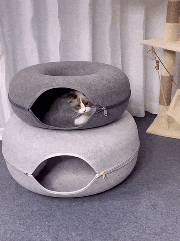 lit pour chat donut pliable