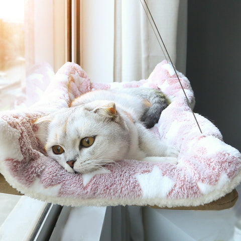 chat allongé dans son hamac de fenêtre avec une couverture rose