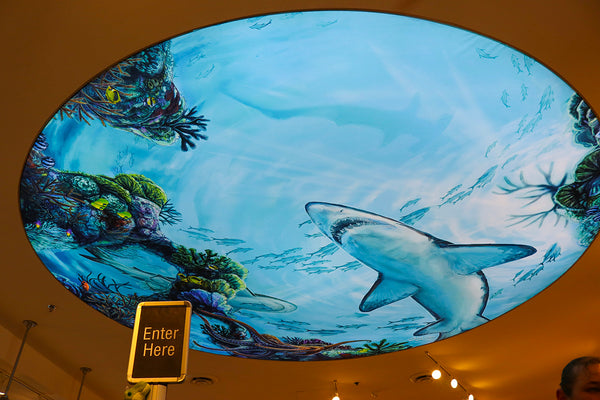 Immersion Mural at The Florida Aquarium