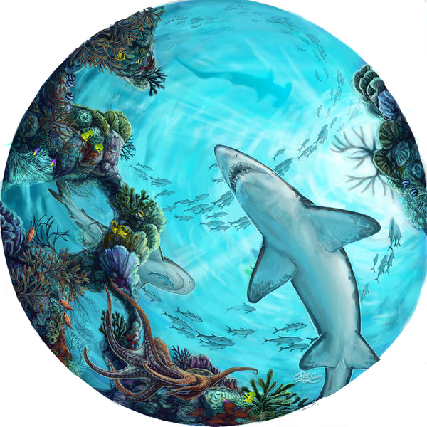 The Florida Aquarium Immersion Mural Porthole
