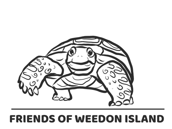 Weedon Island Trail Run 8K Design