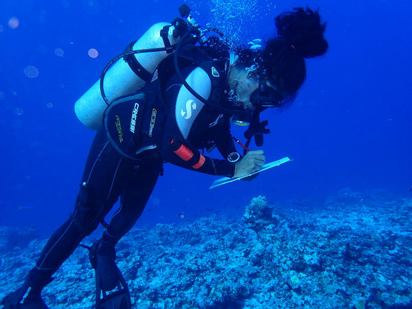 Scuba Diver working with Vatuvara