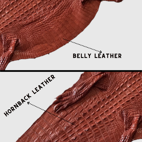 alligator-leather-hornback-belly-leather