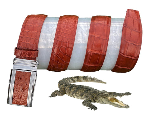About Alligator Leather Type You Need To Know - Hornback, Belly
