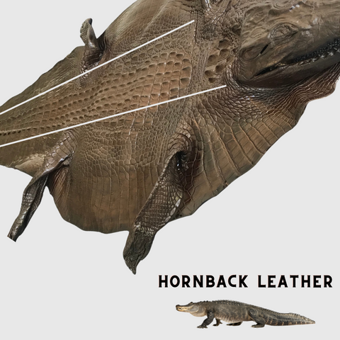 alligator-leather-hornback-belly-leather