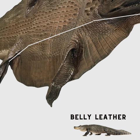 alligator-leather-hornback-belly-leather