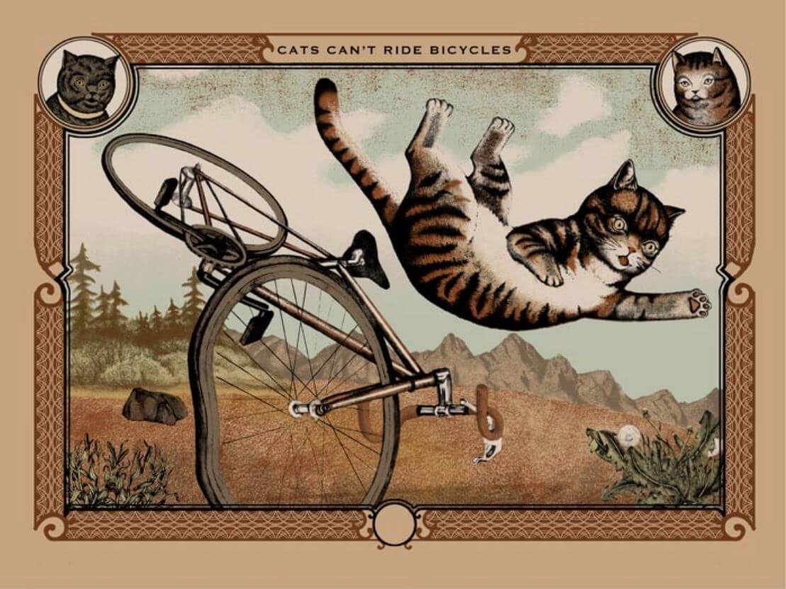 Arna Miller "Cats Can't Ride Bicycles". Read the blog now on Fang & Fur.
