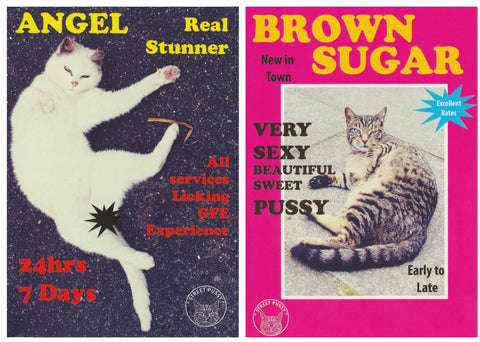 Street Pussy Postcards - prize in the Sexy Kitty Competition. Read the blog now on Fang & Fur.