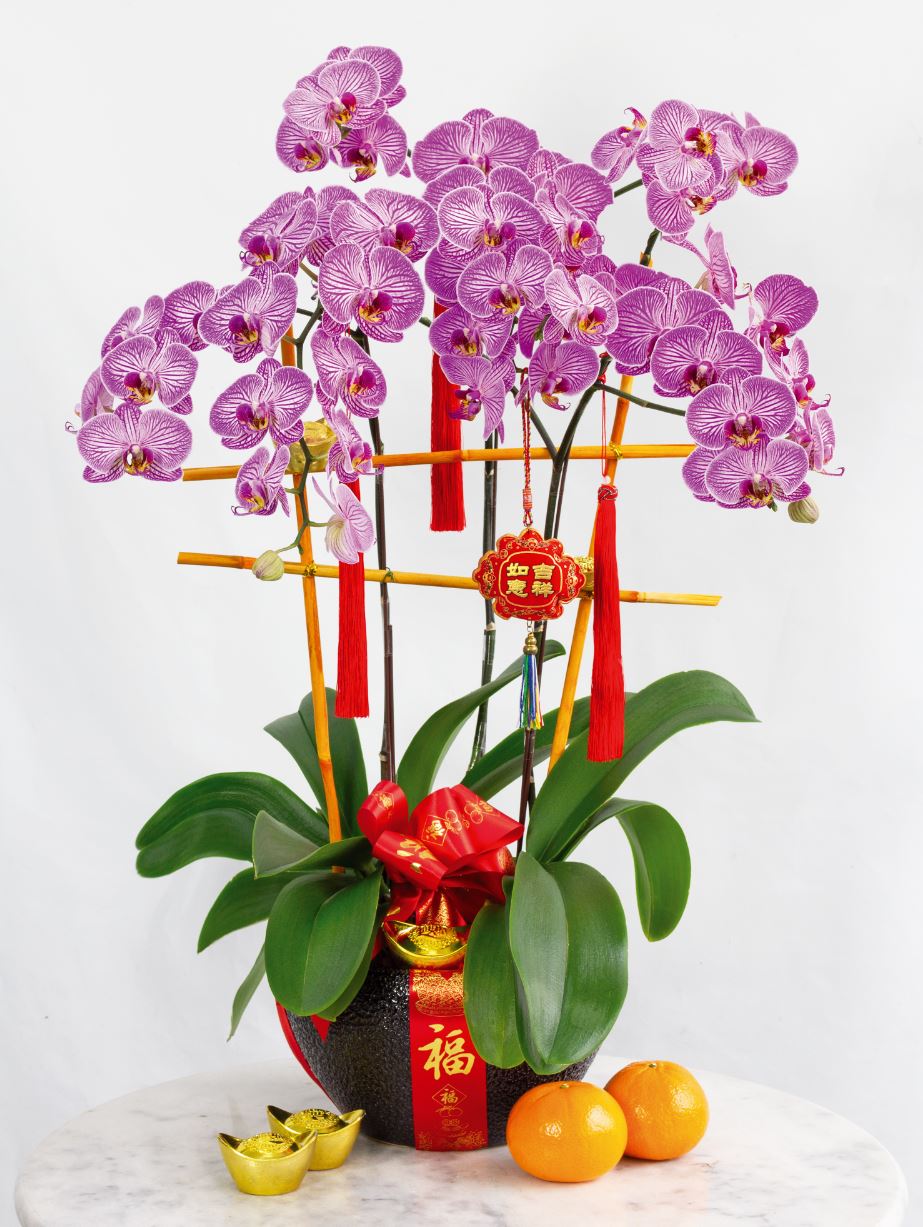 Prosperity Blooms Chinese New Year Arrangement I DO Flowers & Gifts