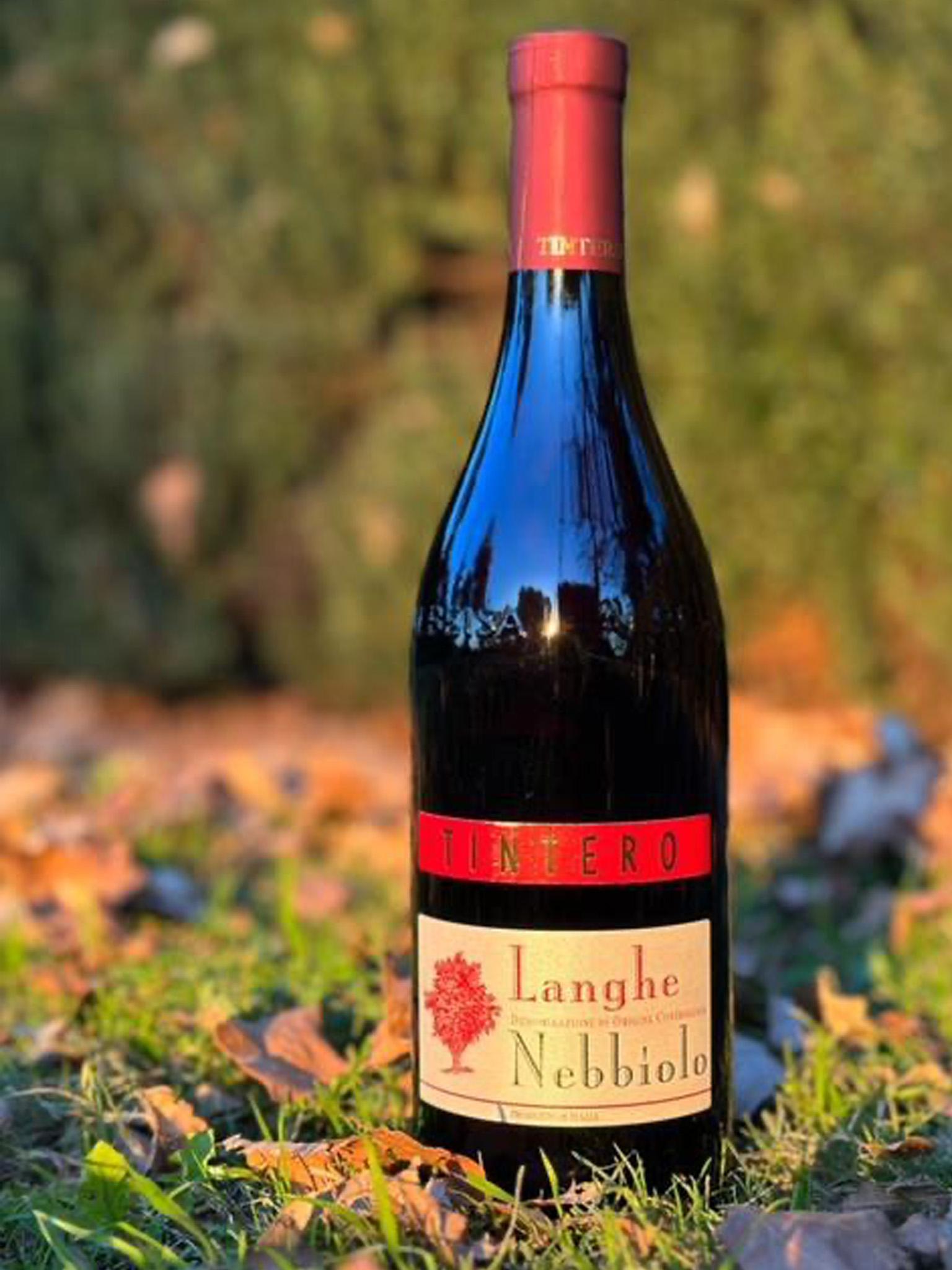 Elvio Tintero Langhe Nebbiolo