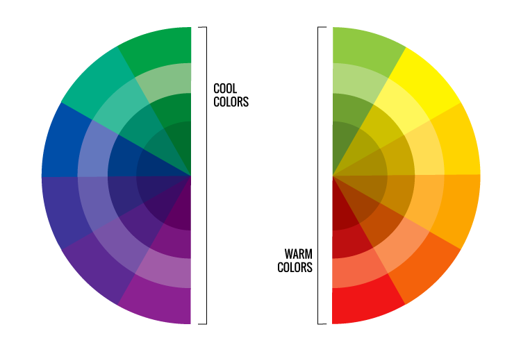 Color wheel divided into cool and warm tones